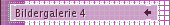 Bildergalerie 4